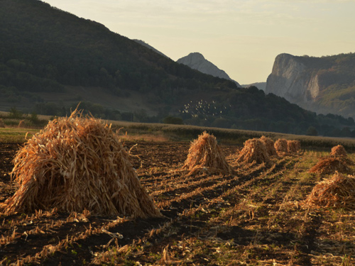 Foto Zona nordica a Cheilor Valisoarei (c) Lucian Petru Goja
